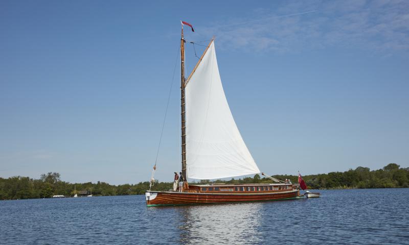 Ardea under sail