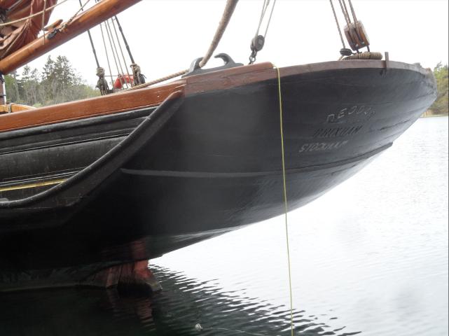 Deodar’s stern