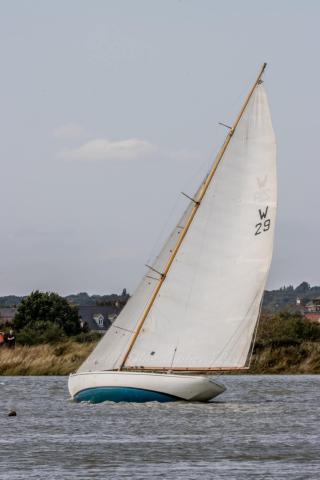 Mischief sailing at Maldon August 2024
