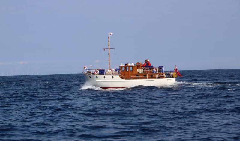 Mimosa sailing
