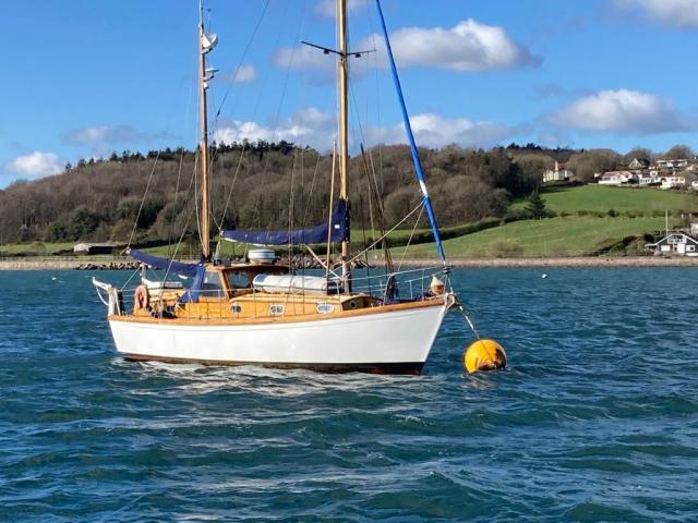 Maid of Shannon