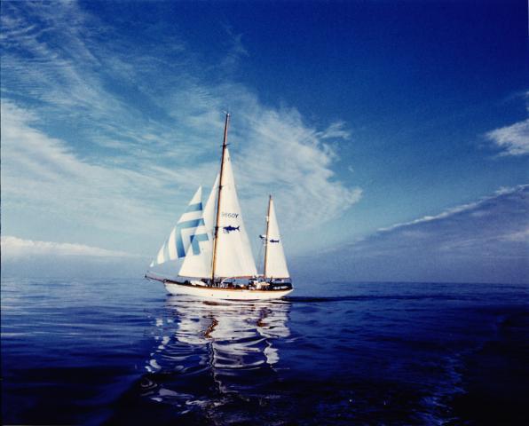 Blue Trout - port side view, mid Atlantic, calm weather (Photo comp entry)
