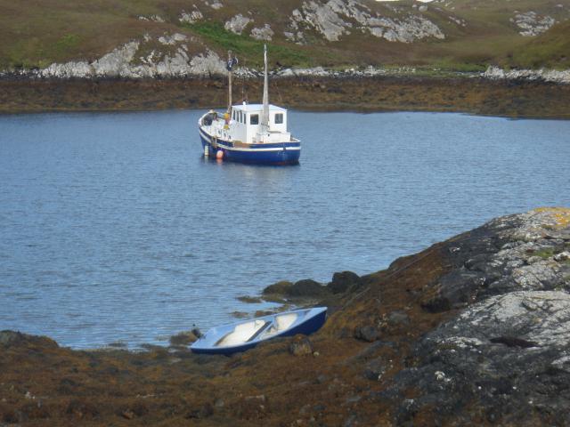 Black Cat II sailing