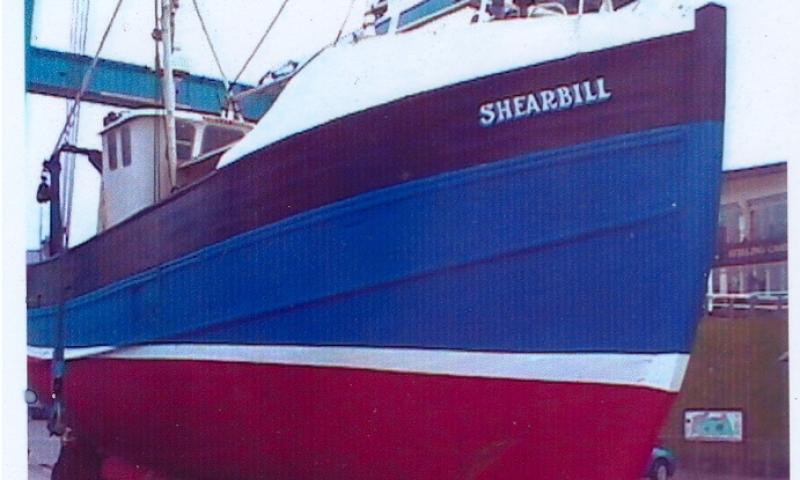 Shearbill out the water - bow view