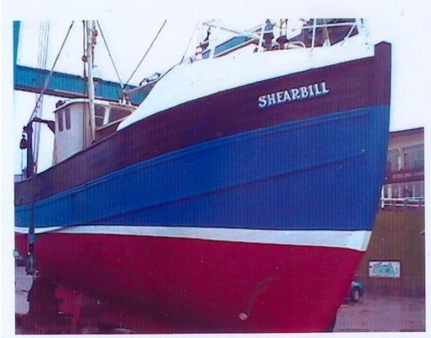 Shearbill out the water - bow view