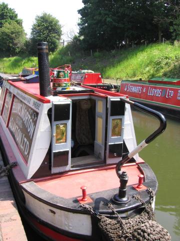 Peacock - stern view