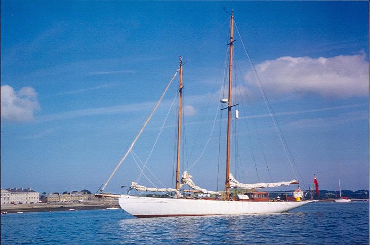 Greylag moored