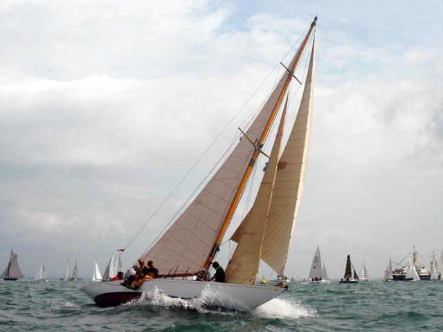 Mikado - starboard bow view