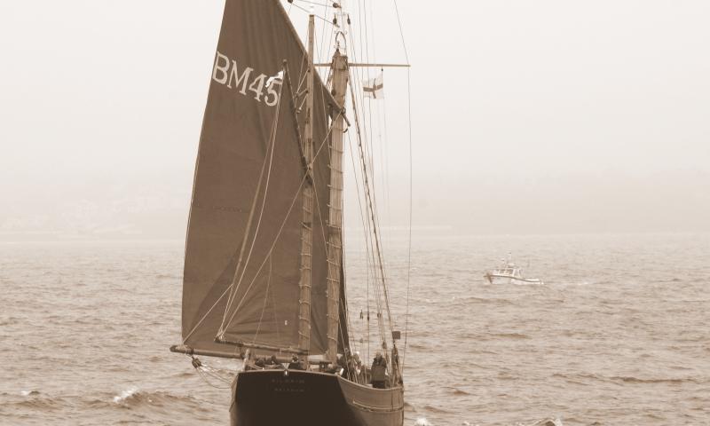 Pilgrim - under sail