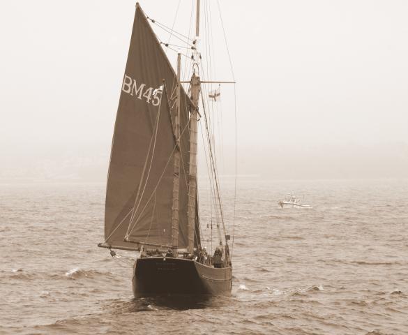 Pilgrim - under sail