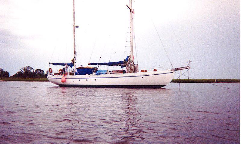 sea mouse sailboat