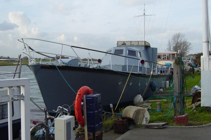 Lewina Moored