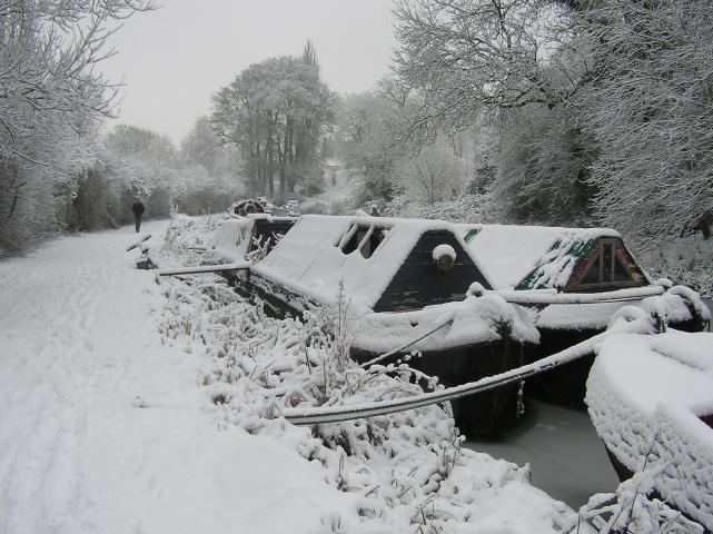 Almighty (& Kestrel) - in the snow (photo comp entry)