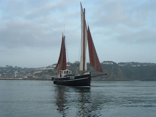 Ibis sailing from Mevagissy, starboard side