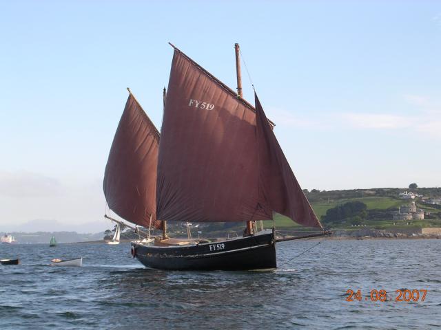 Ibis under sail - starboard side