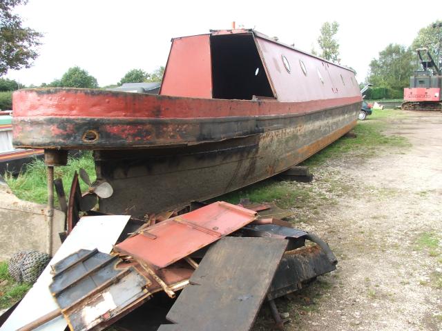 Dove out of the water - stern view