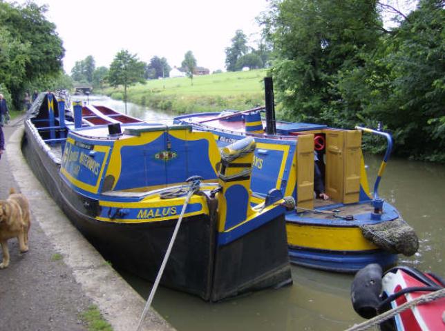 Malus alongside - stern view