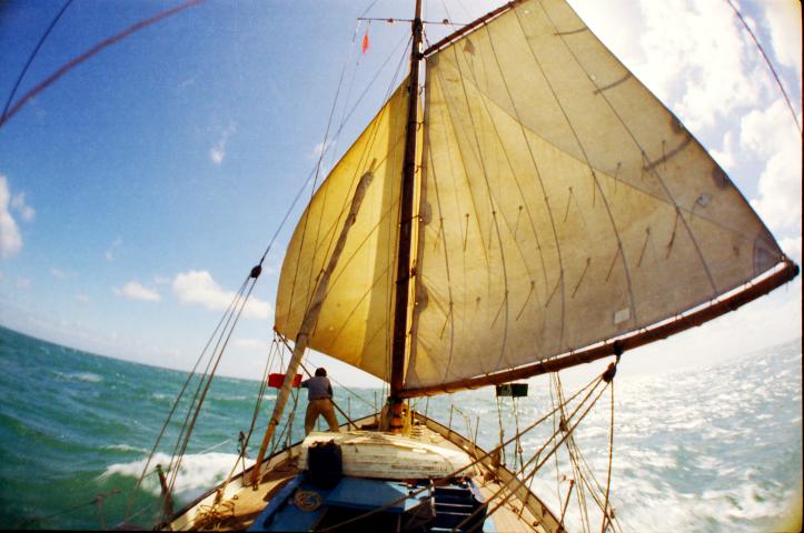 Sails catching the wind