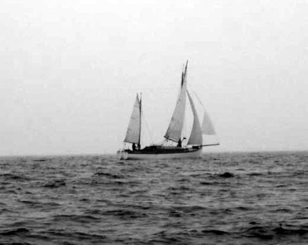 Cirrus at sea, starboard side view