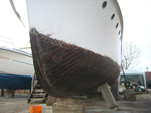 bow view