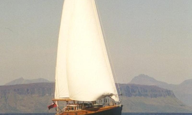 Aurelia sailing