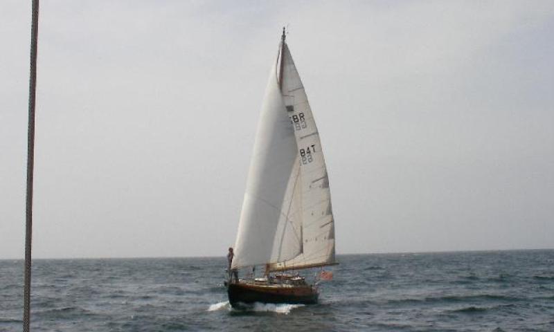 Aurelia at sea