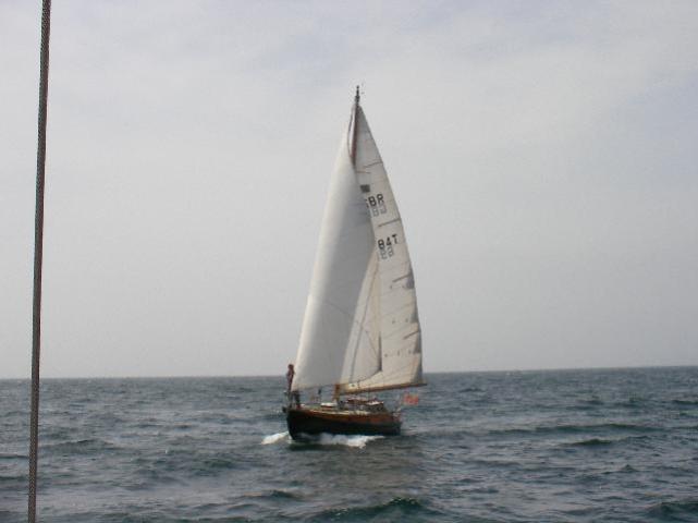 Aurelia at sea