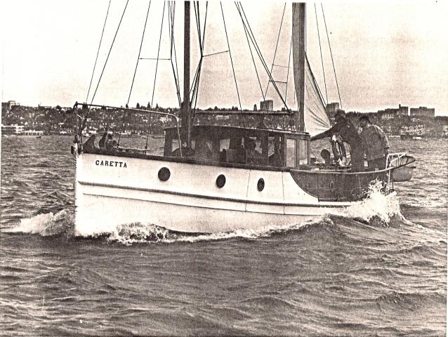 Caretta at sea