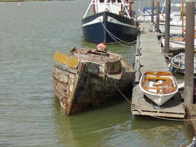 HERMIONE bow view