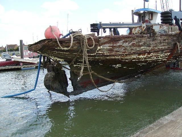 HERMIONE stern view