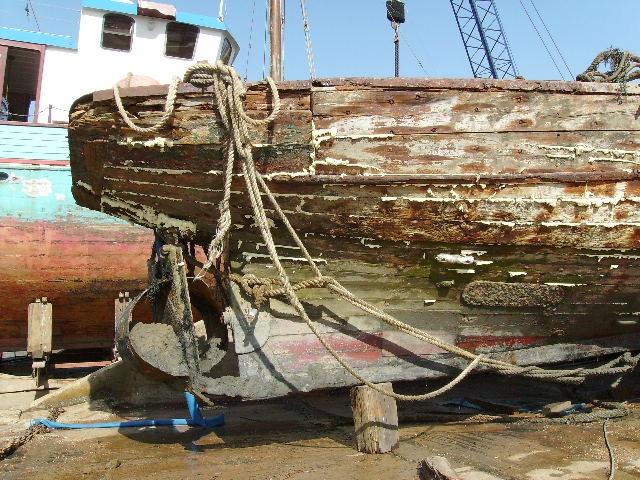 HERMIONE stern view