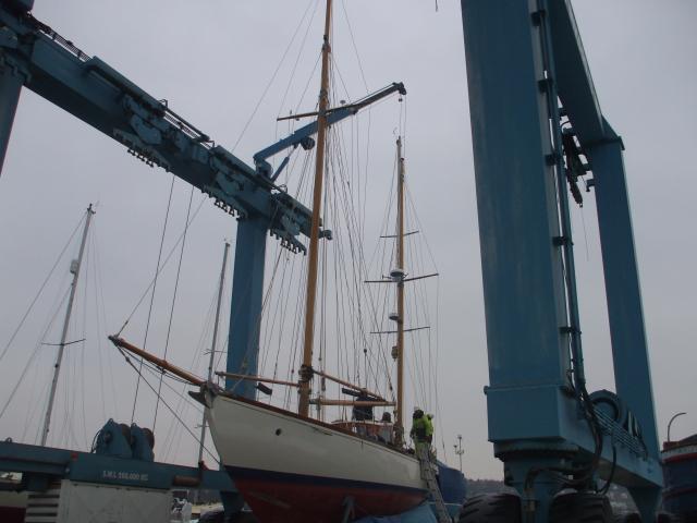 MAYBIRD re-masted