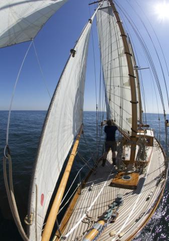 Maybird - post restoration sea trials (Photo comp entry)