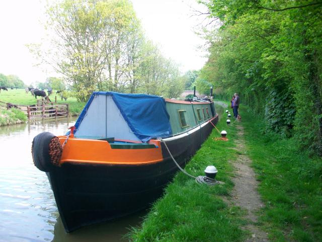 LINNET port bow