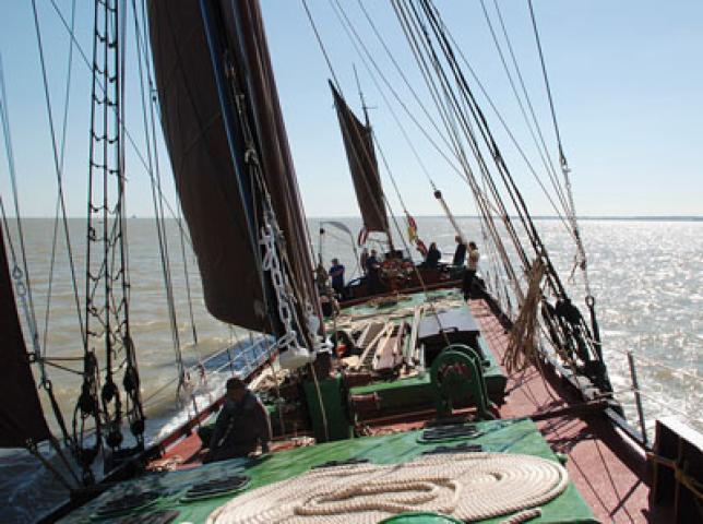 Wyvenhow under sail