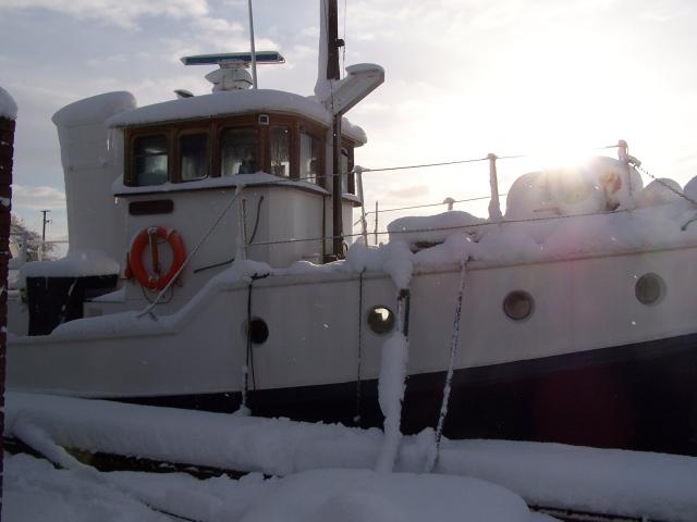 the bridge in winter