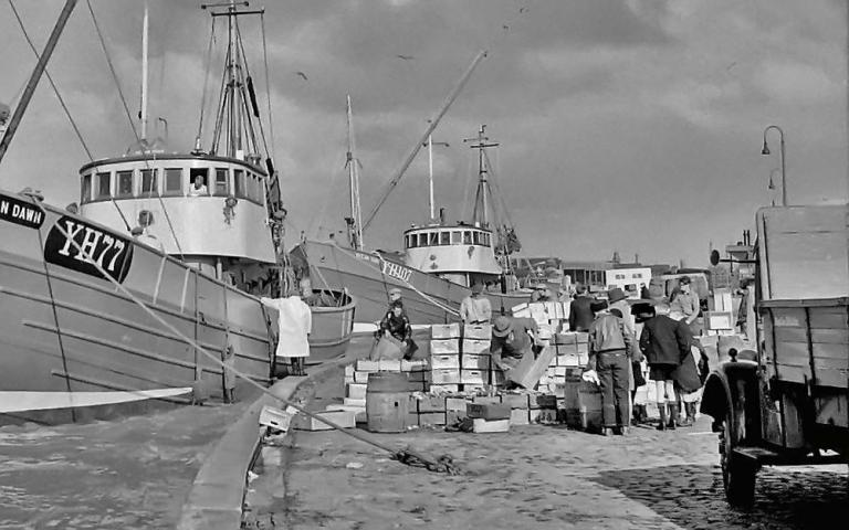 ODEAN DAWN unloading fish