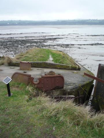bow view