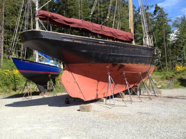 Carlotta - in Canoe Cove, BC