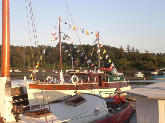 Nyctea - port side view