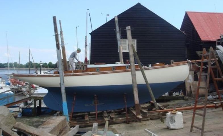 Cormorant - undergoing work