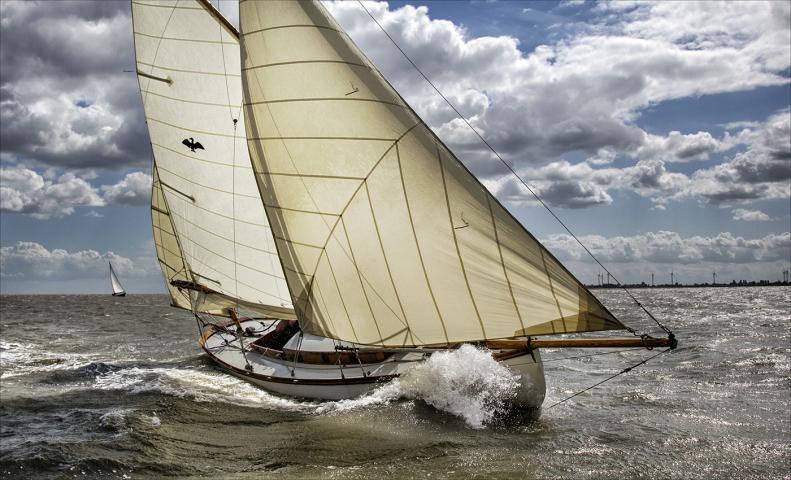 Photography image entry 2015