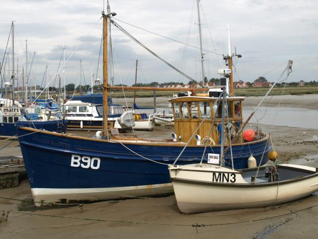 Golden Sceptre, port side view, on shore
