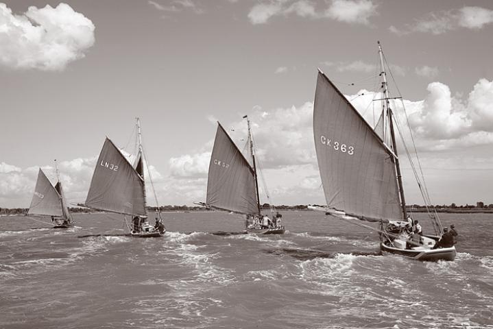 Mermaid sailing