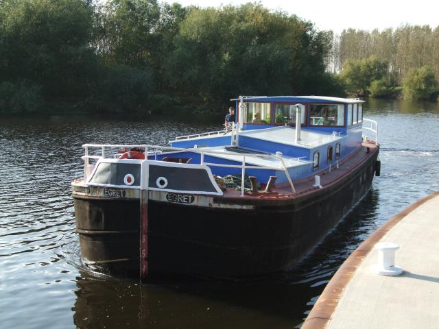 Egret - bow facing, underway