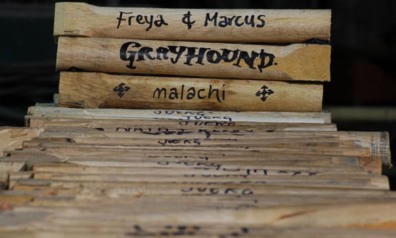 Grayhound - some of the 2000+ named treenails fastened into the planking and deck