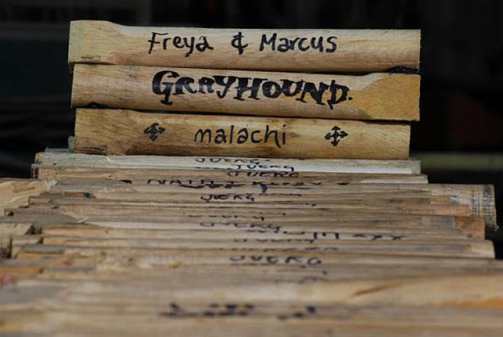 Grayhound - some of the 2000+ named treenails fastened into the planking and deck