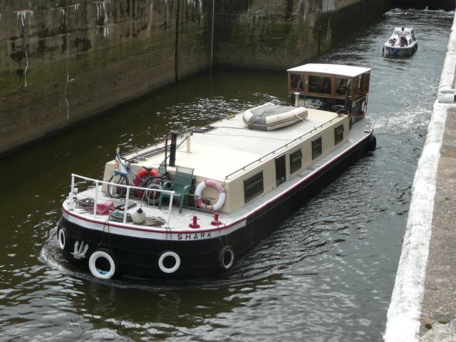 Shark - Cromwell Lock Aug 2011