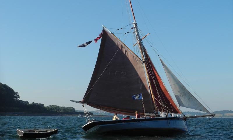 Ibis - sailing