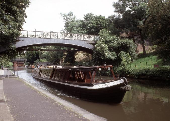 Lapwing on the canal